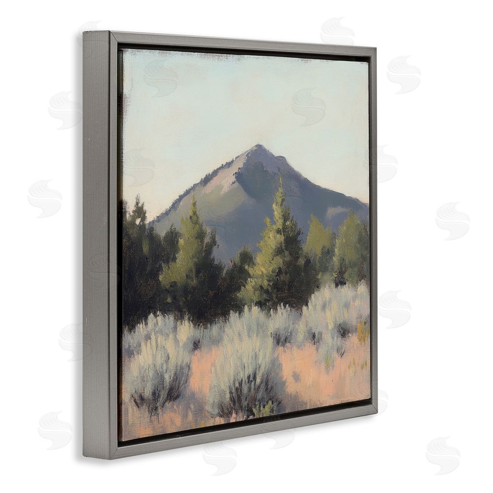 Petal Prints Design Tucson Mountain Landscape Gray Floating Frame Canvas Wall Art Print