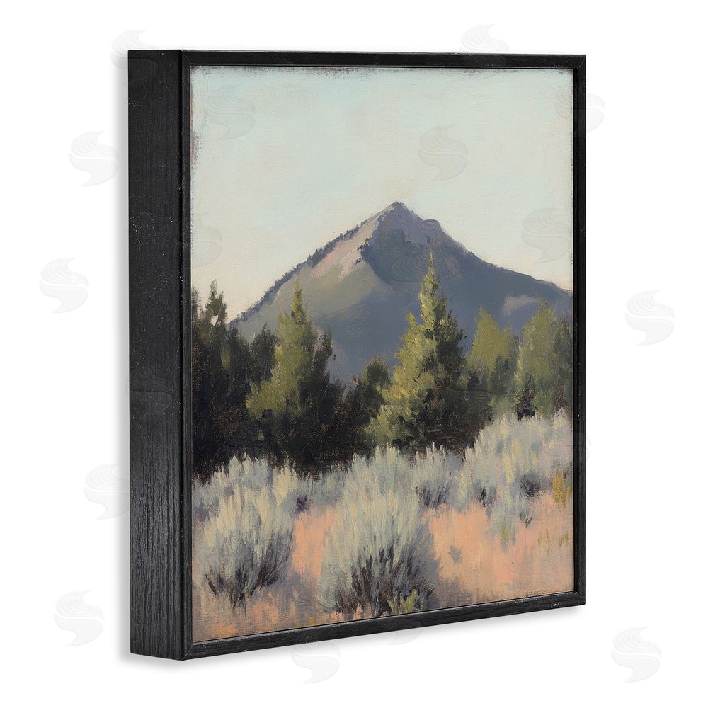 Petal Prints Design Tucson Mountain Landscape Black Framed Giclee Wall Art Print