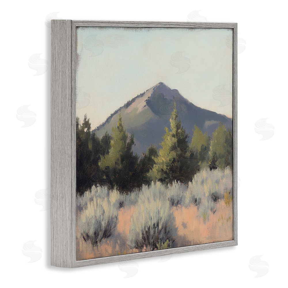 Petal Prints Design Tucson Mountain Landscape Gray Framed Giclee Wall Art Print
