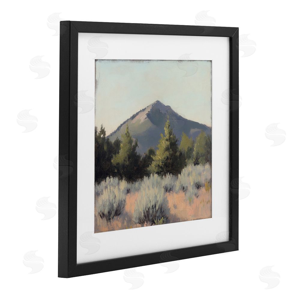 Petal Prints Design Tucson Mountain Landscape Black Framed Print Under Glass with White Mat Wall Art