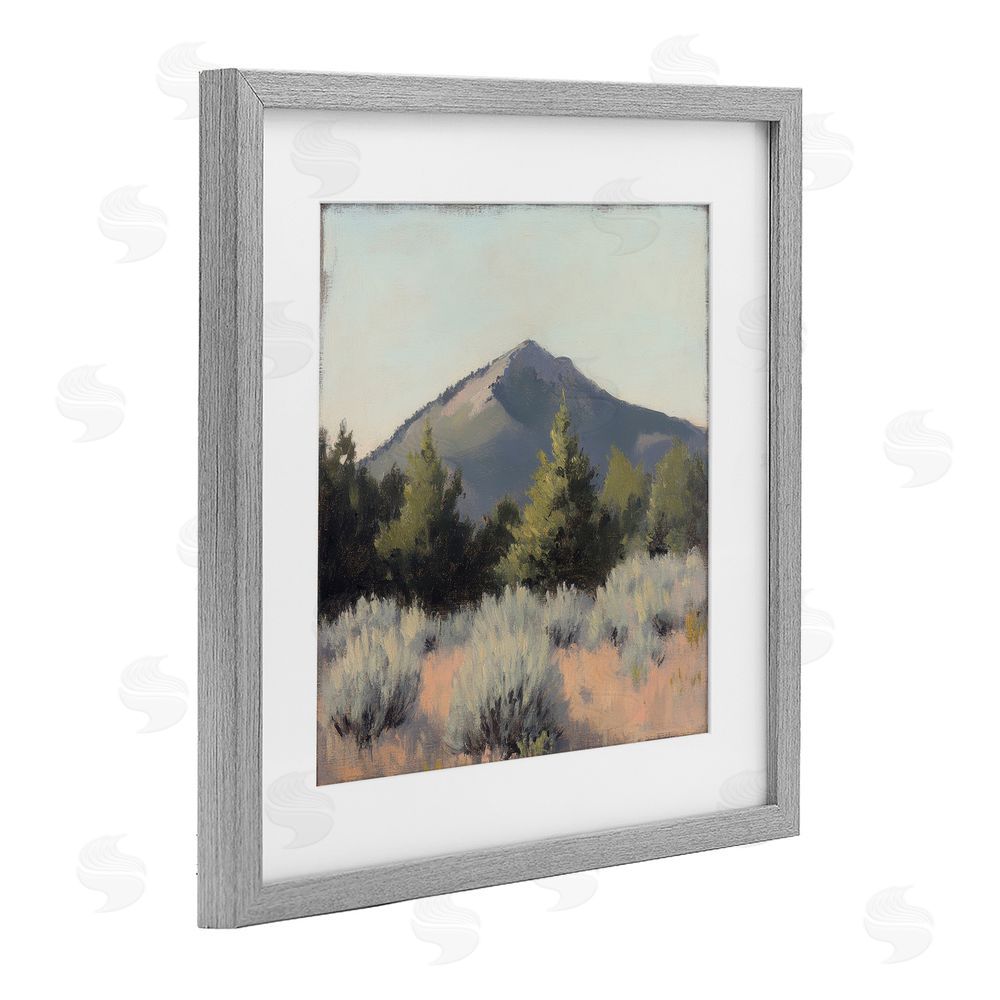 Petal Prints Design Tucson Mountain Landscape Gray Framed Print Under Glass with White Mat Wall Art