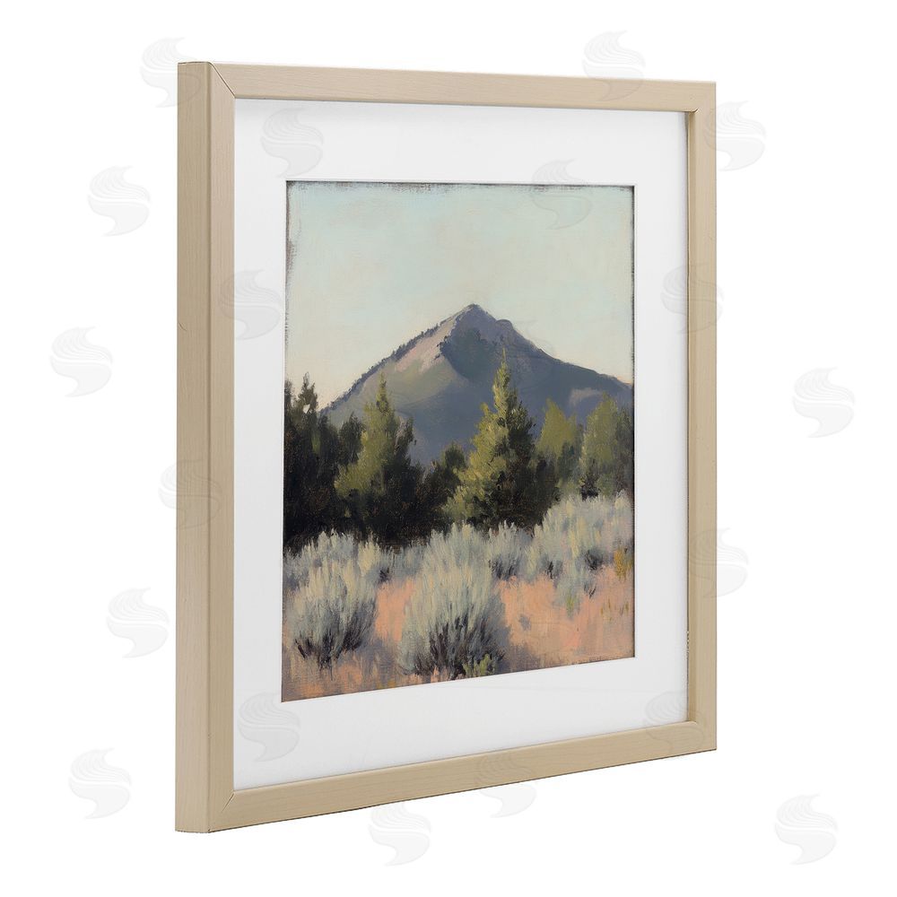 Petal Prints Design Tucson Mountain Landscape Birch Framed Print Under Glass with White Mat Wall Art