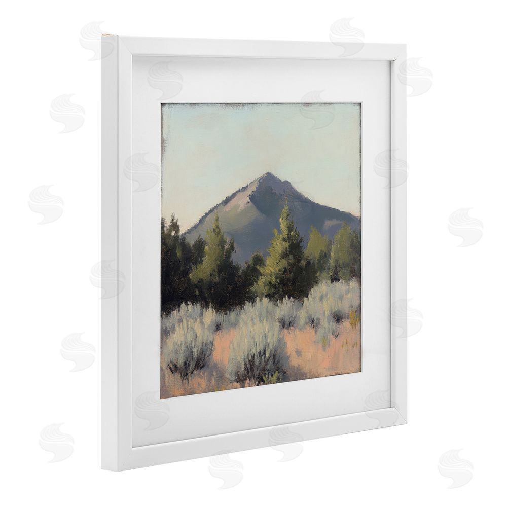 Petal Prints Design Tucson Mountain Landscape White Framed Print Under Glass with Mat Wall Art
