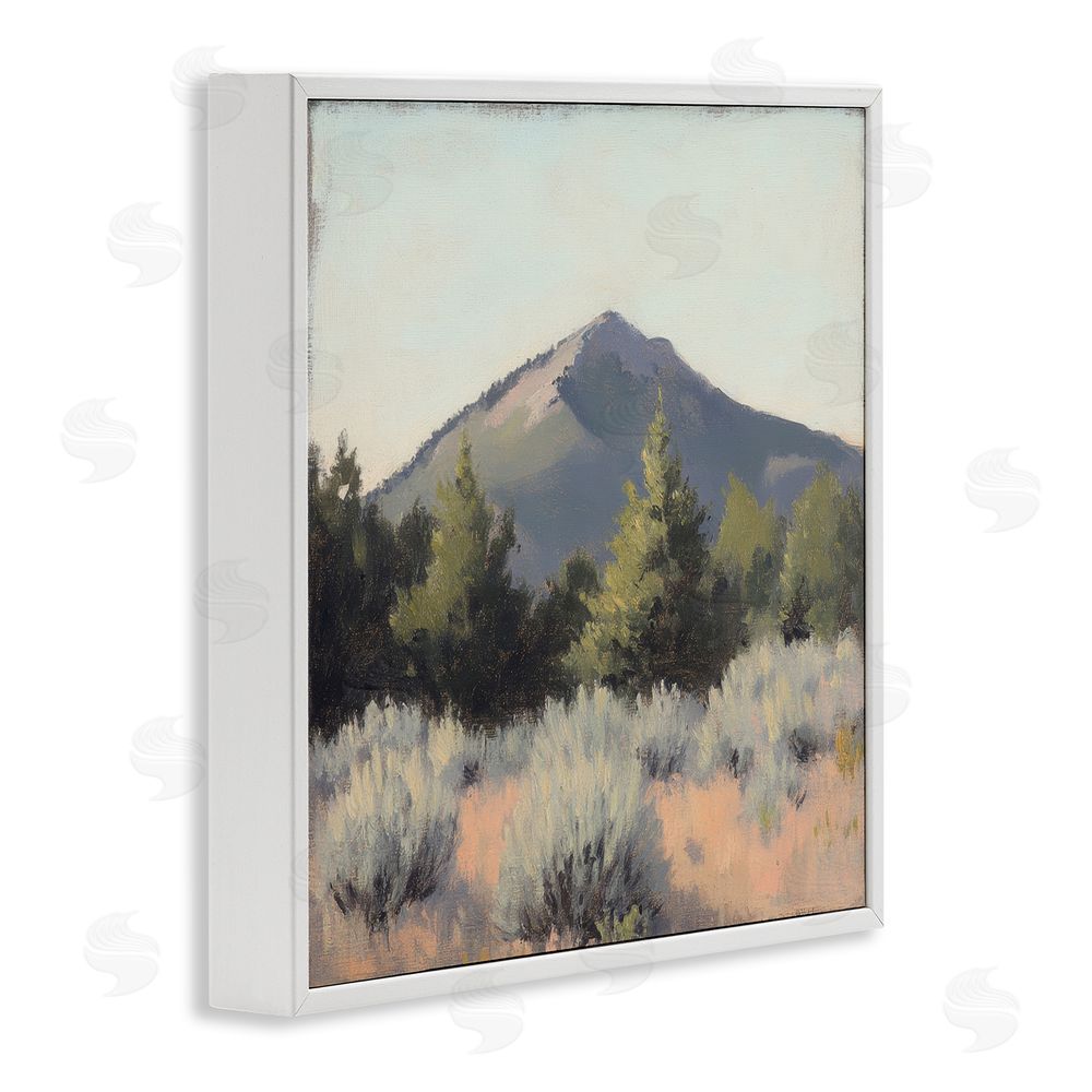 Petal Prints Design Tucson Mountain Landscape White Framed Giclee Wall Art Print