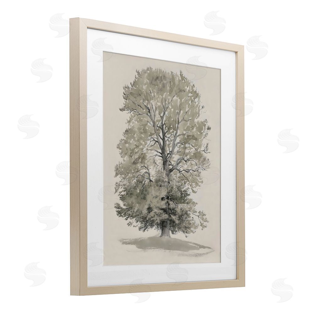 Riley B Vintage Farmhouse Tall Tree Birch Framed Print Under Glass with White Mat Wall Art