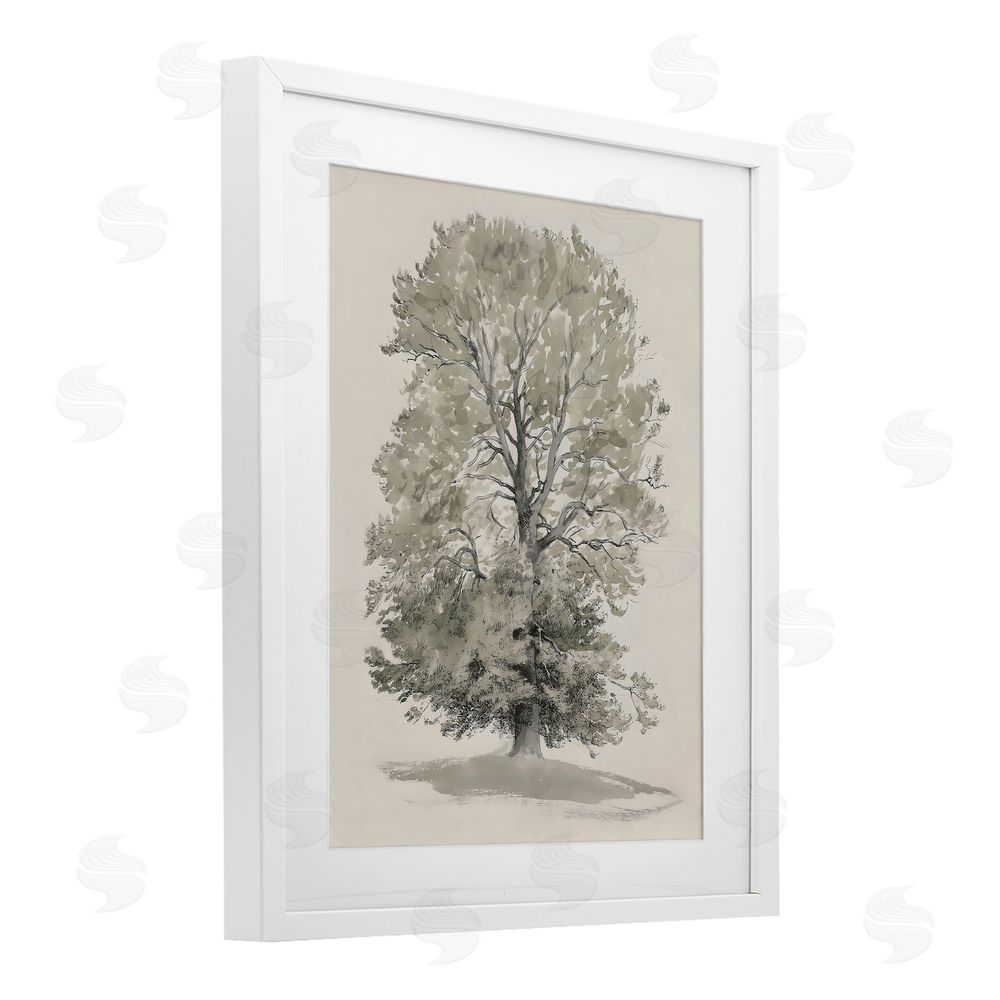Riley B Vintage Farmhouse Tall Tree White Framed Print Under Glass with Mat Wall Art