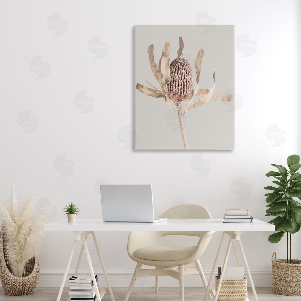 Sisi and Seb Australian Banksia Botanical Canvas Art on Wall