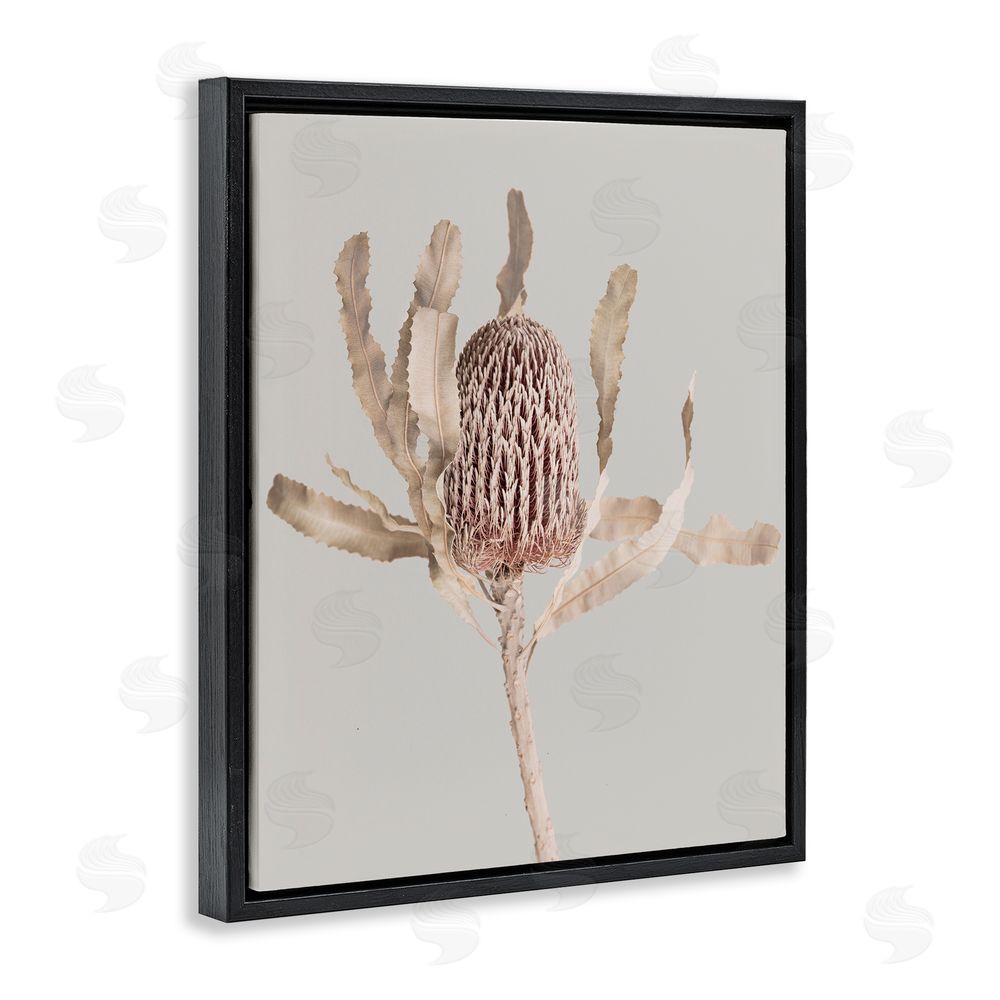 Sisi and Seb Australian Banksia Botanical Black Floating Frame Canvas Wall Art Print