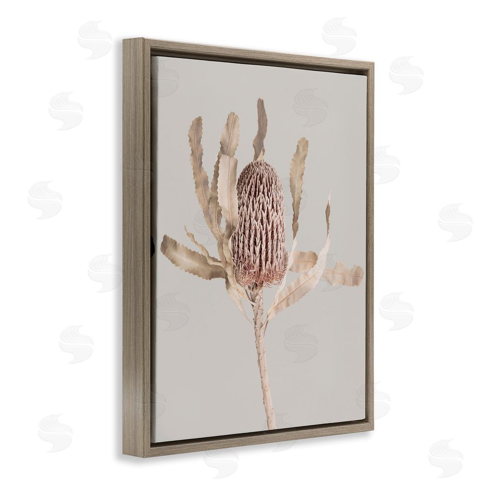 Sisi and Seb Australian Banksia Botanical Brown Floating Frame Canvas Wall Art Print