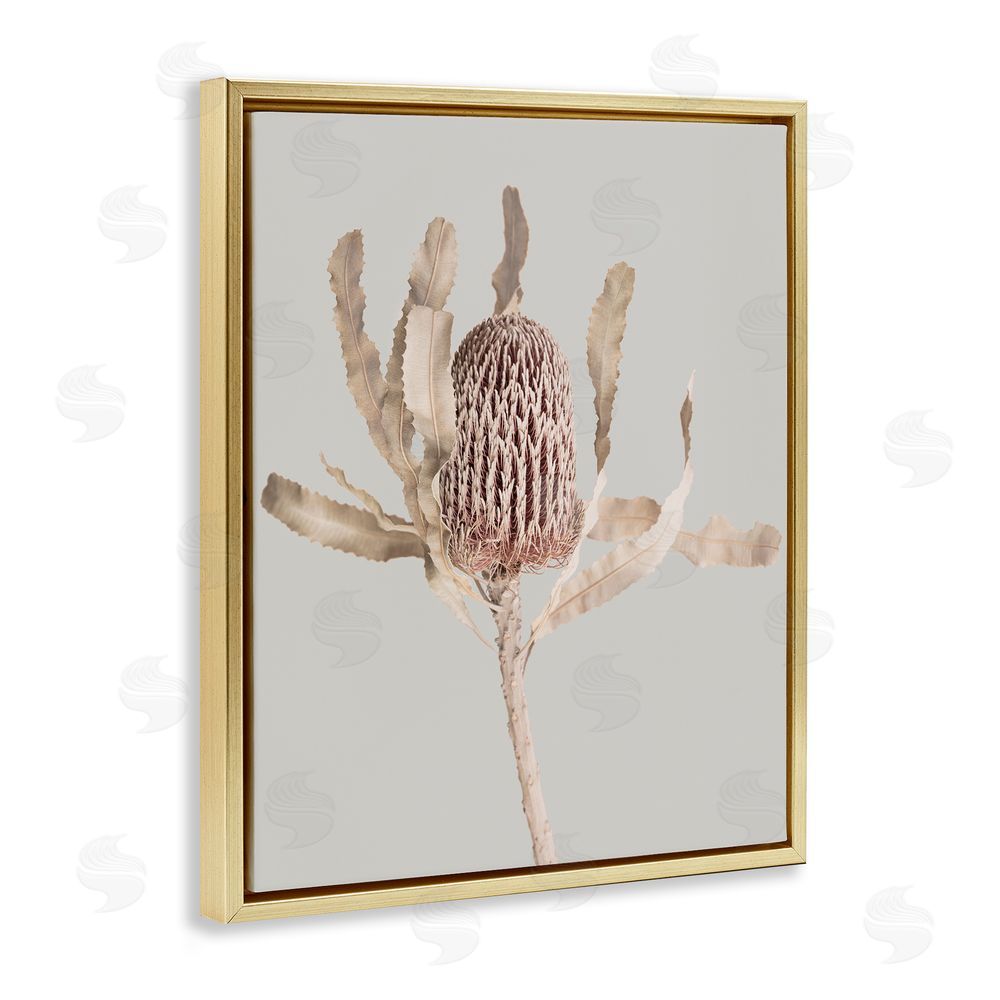 Sisi and Seb Australian Banksia Botanical Gold Floating Frame Canvas Wall Art Print