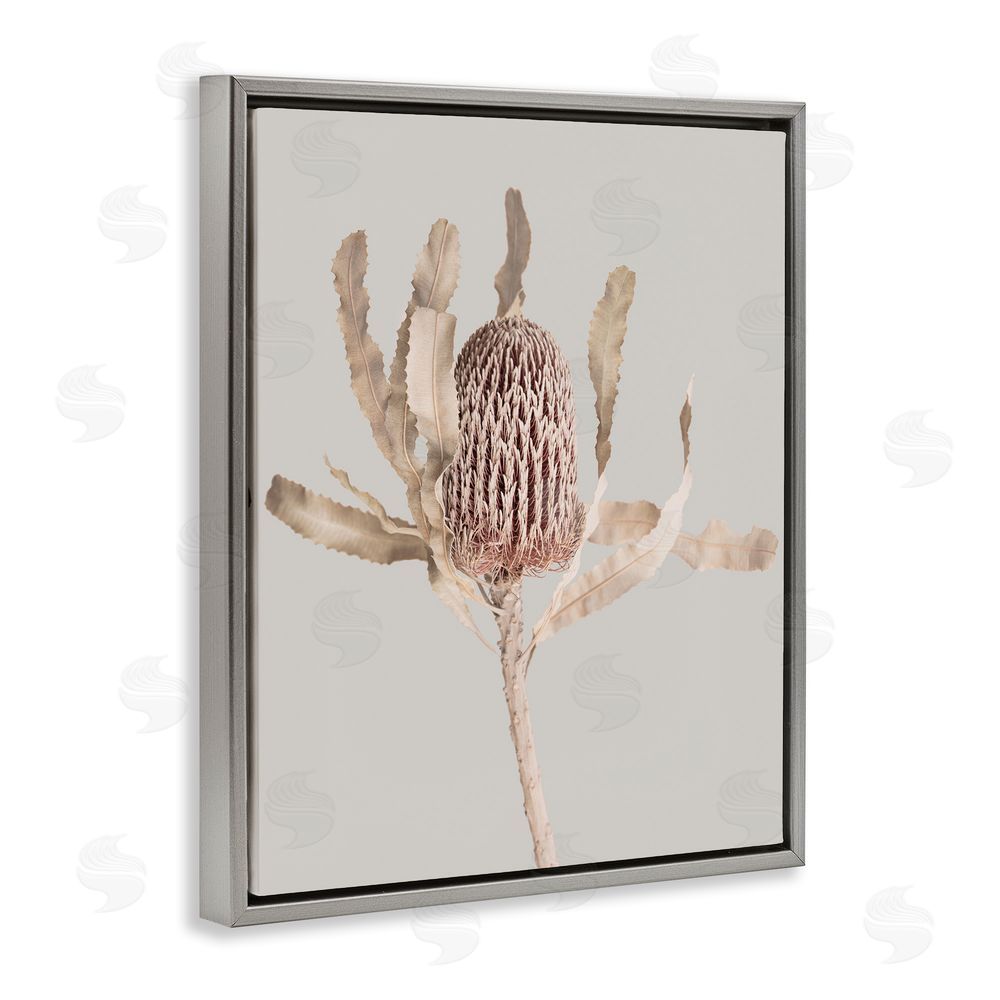 Sisi and Seb Australian Banksia Botanical Gray Floating Frame Canvas Wall Art Print