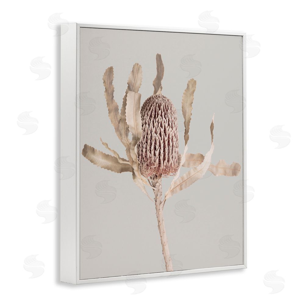 Sisi and Seb Australian Banksia Botanical White Framed Giclee Wall Art Print