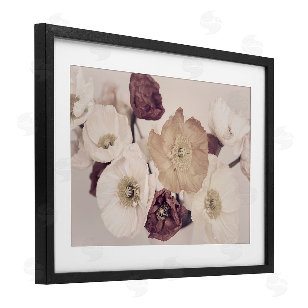 Sisi and Seb Open Blooms Maroon Florals Black Framed Print Under Glass with White Mat Wall Art