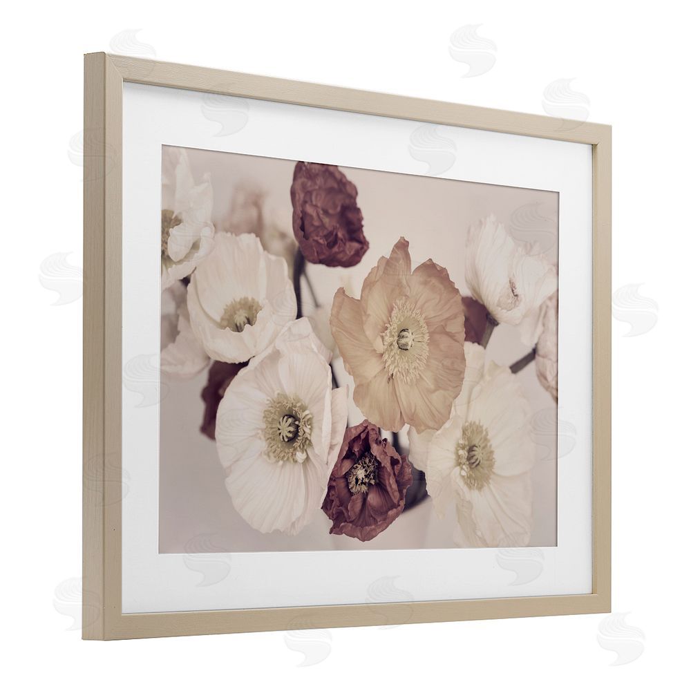 Sisi and Seb Open Blooms Maroon Florals Birch Framed Print Under Glass with White Mat Wall Art