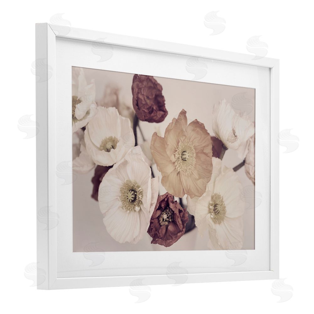 Sisi and Seb Open Blooms Maroon Florals White Framed Print Under Glass with Mat Wall Art