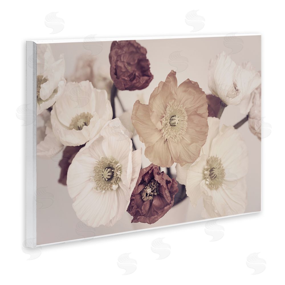 Sisi and Seb Open Blooms Maroon Florals Wall Plaque Art Print
