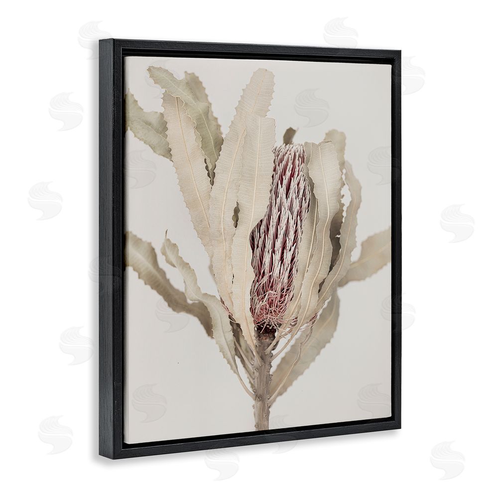 Sisi and Seb Hidden Banksia Botanical Fronds Black Floating Frame Canvas Wall Art Print