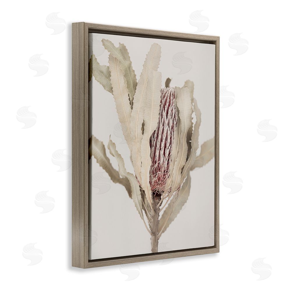 Sisi and Seb Hidden Banksia Botanical Fronds Brown Floating Frame Canvas Wall Art Print