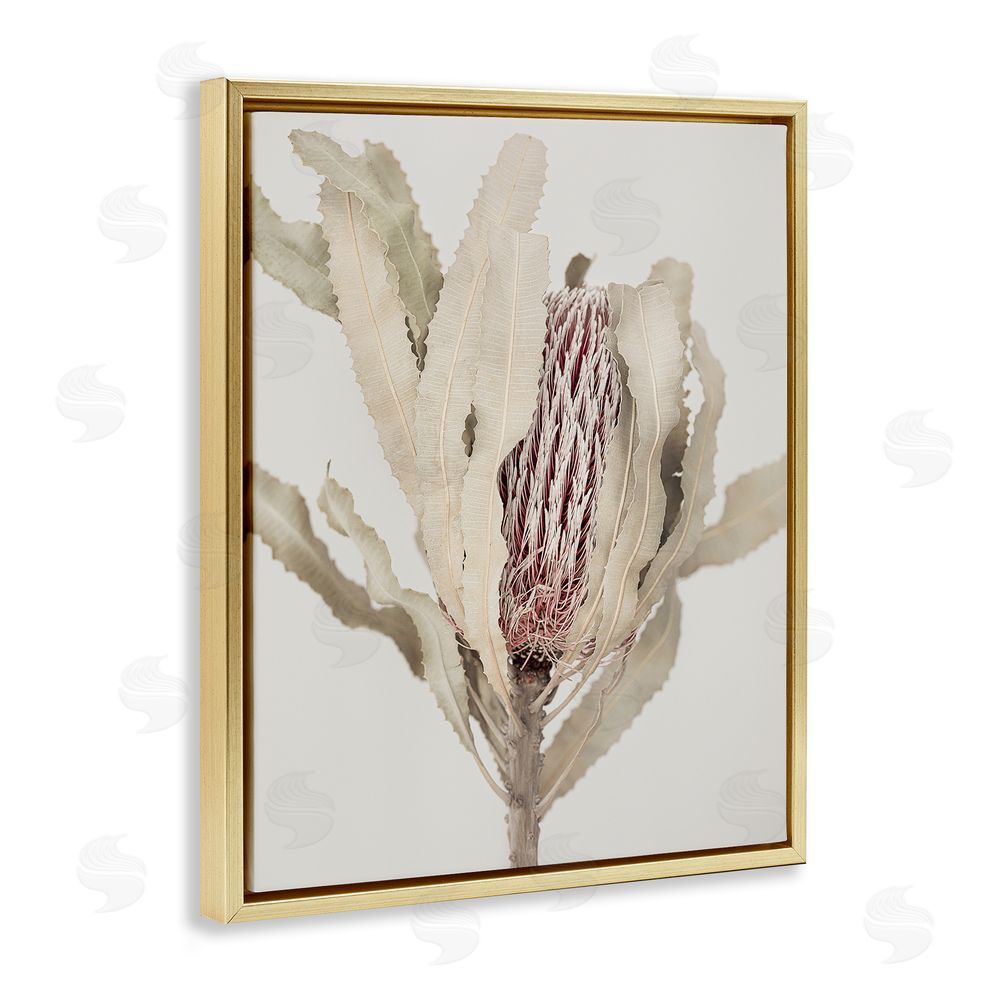 Sisi and Seb Hidden Banksia Botanical Fronds Gold Floating Frame Canvas Wall Art Print