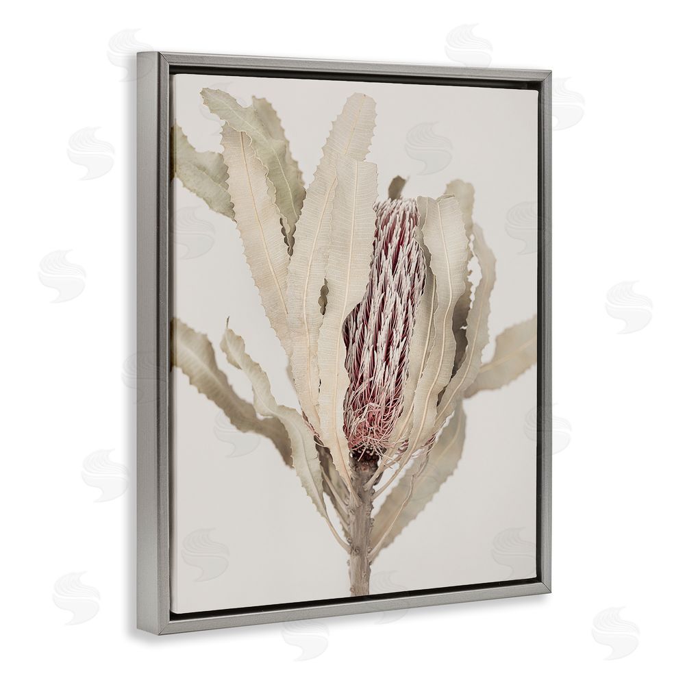 Sisi and Seb Hidden Banksia Botanical Fronds Gray Floating Frame Canvas Wall Art Print