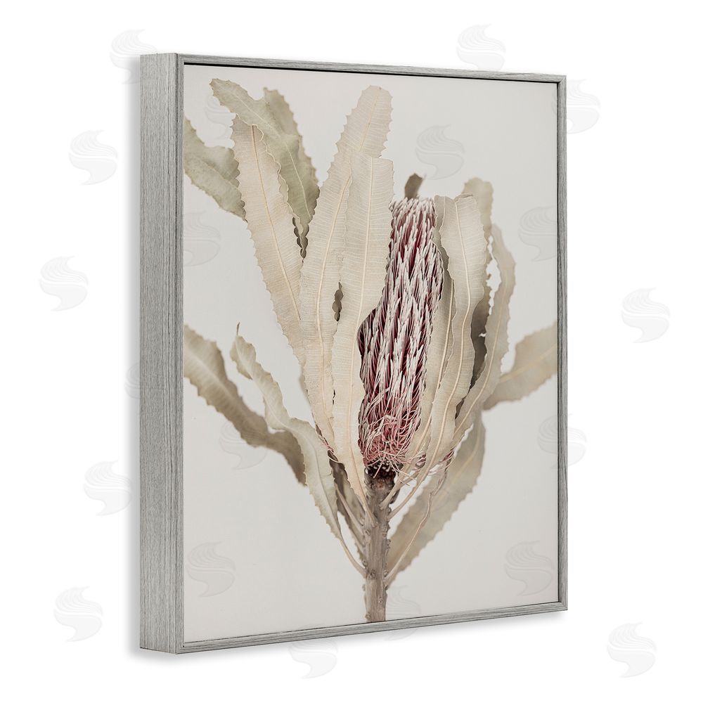 Sisi and Seb Hidden Banksia Botanical Fronds Gray Framed Giclee Wall Art Print