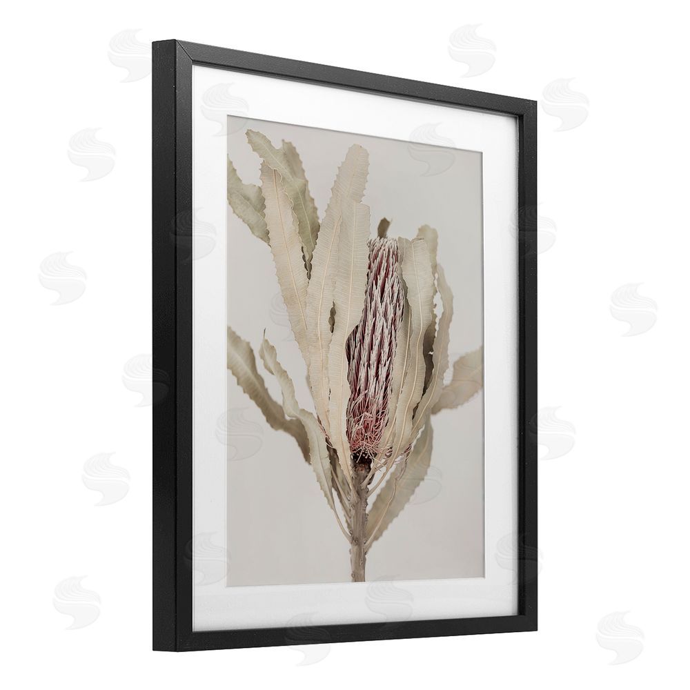 Sisi and Seb Hidden Banksia Botanical Fronds Black Framed Print Under Glass with White Mat Wall Art