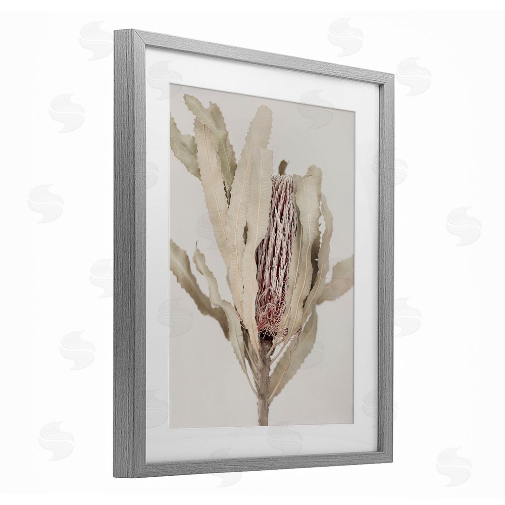 Sisi and Seb Hidden Banksia Botanical Fronds Gray Framed Print Under Glass with White Mat Wall Art