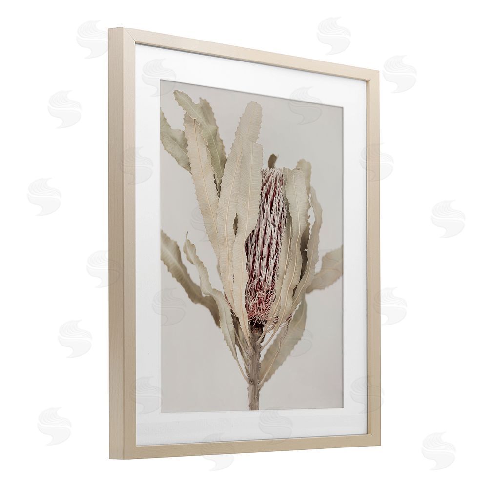 Sisi and Seb Hidden Banksia Botanical Fronds Birch Framed Print Under Glass with White Mat Wall Art