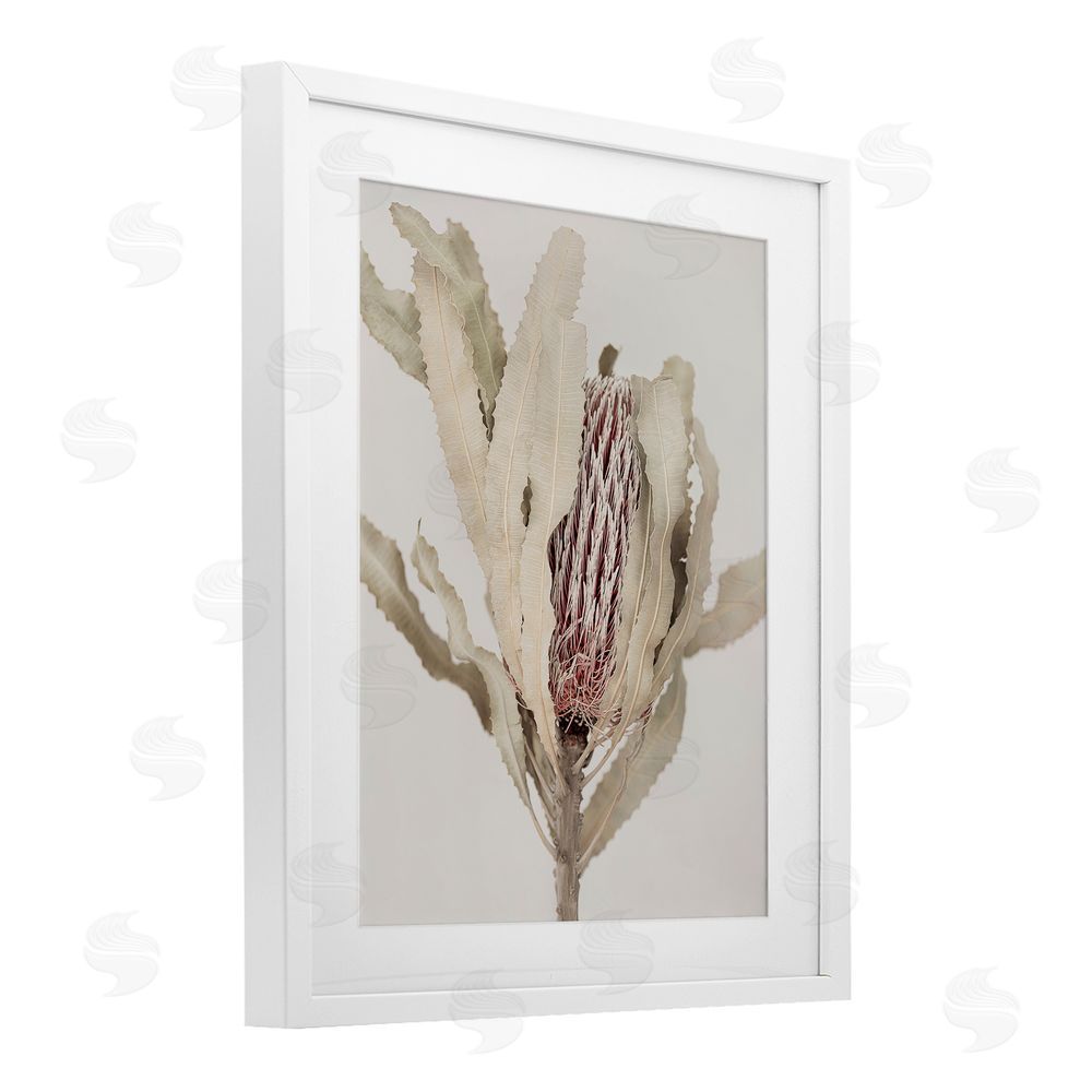 Sisi and Seb Hidden Banksia Botanical Fronds White Framed Print Under Glass with Mat Wall Art