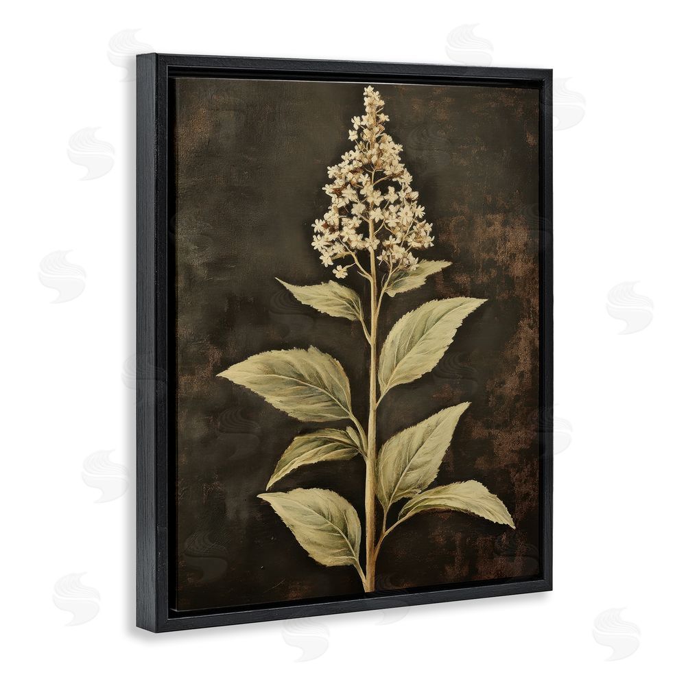 Petal Prints Design Weathered Flower Portrait Black Floating Frame Canvas Wall Art Print