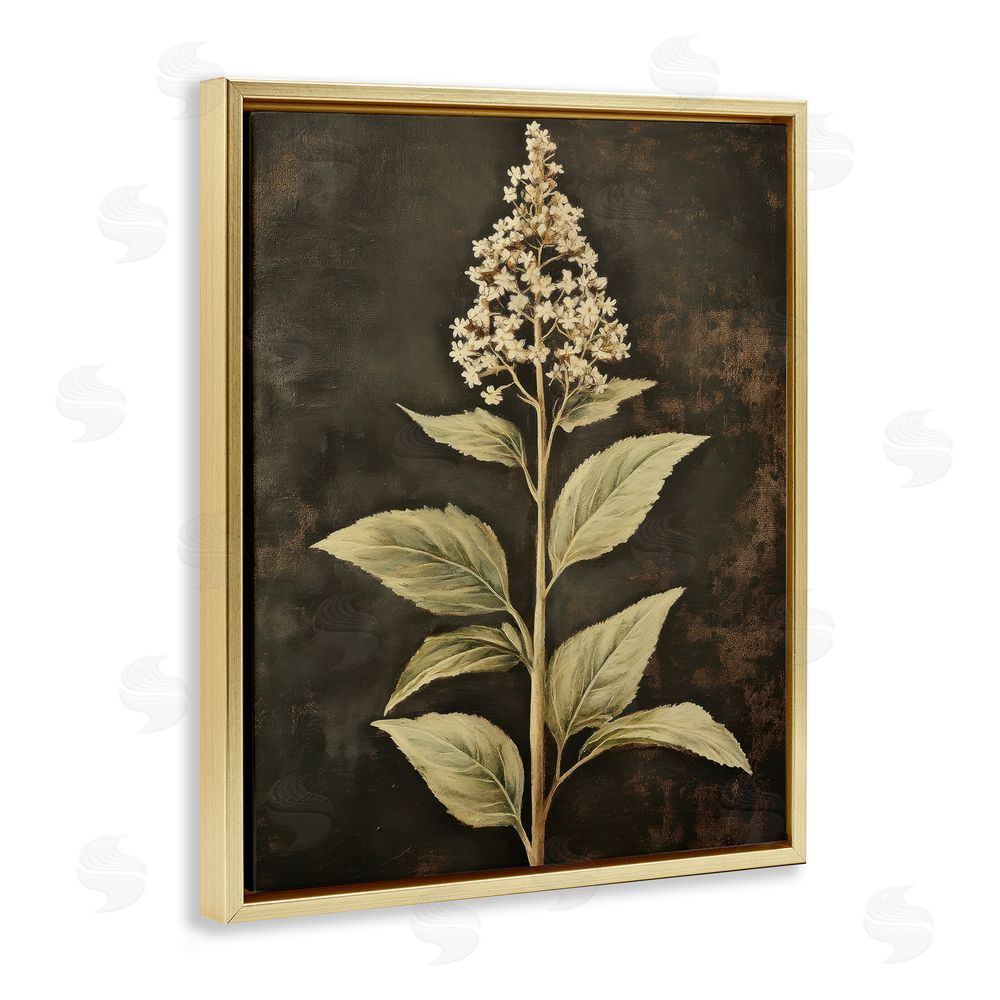 Petal Prints Design Weathered Flower Portrait Gold Floating Frame Canvas Wall Art Print