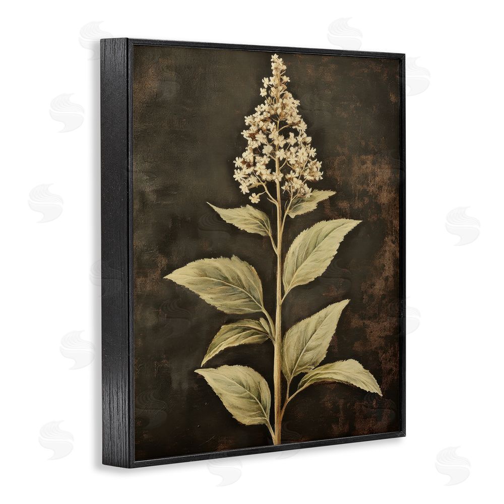 Petal Prints Design Weathered Flower Portrait Black Framed Giclee Wall Art Print