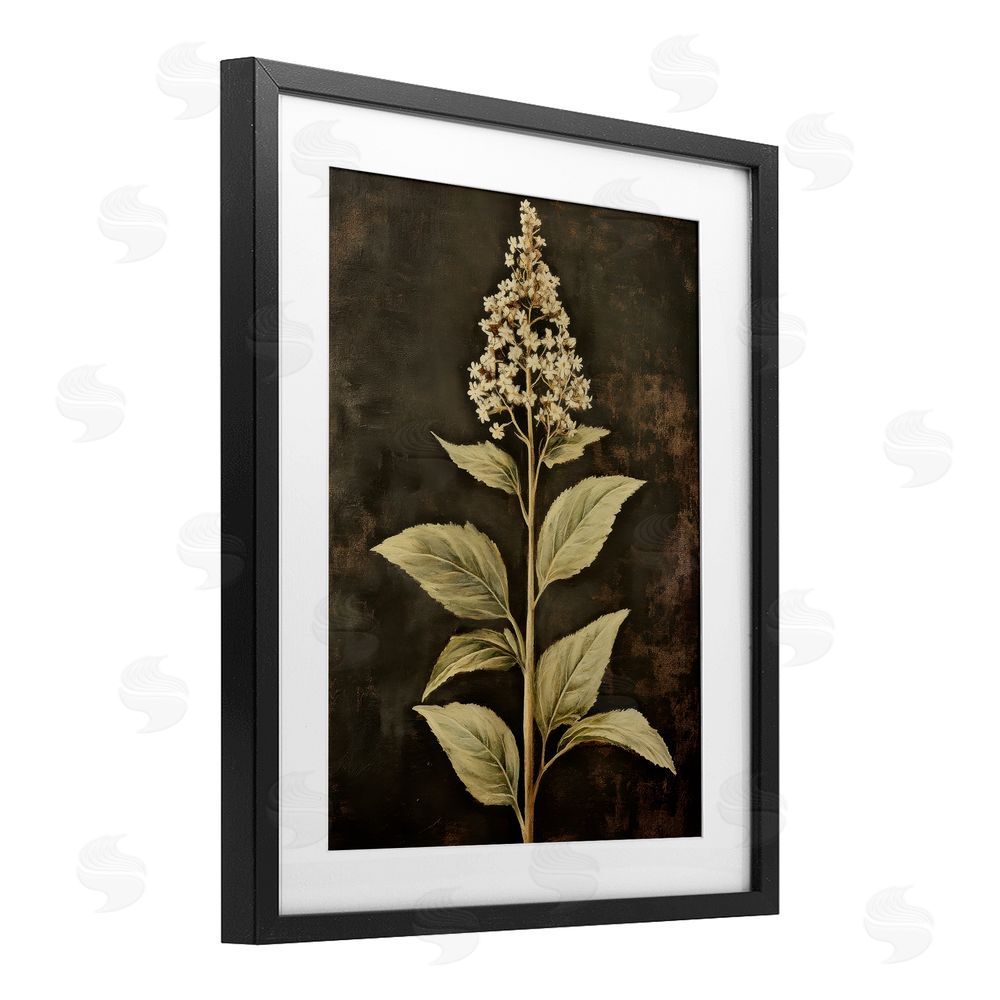 Petal Prints Design Weathered Flower Portrait Black Framed Print Under Glass with White Mat Wall Art