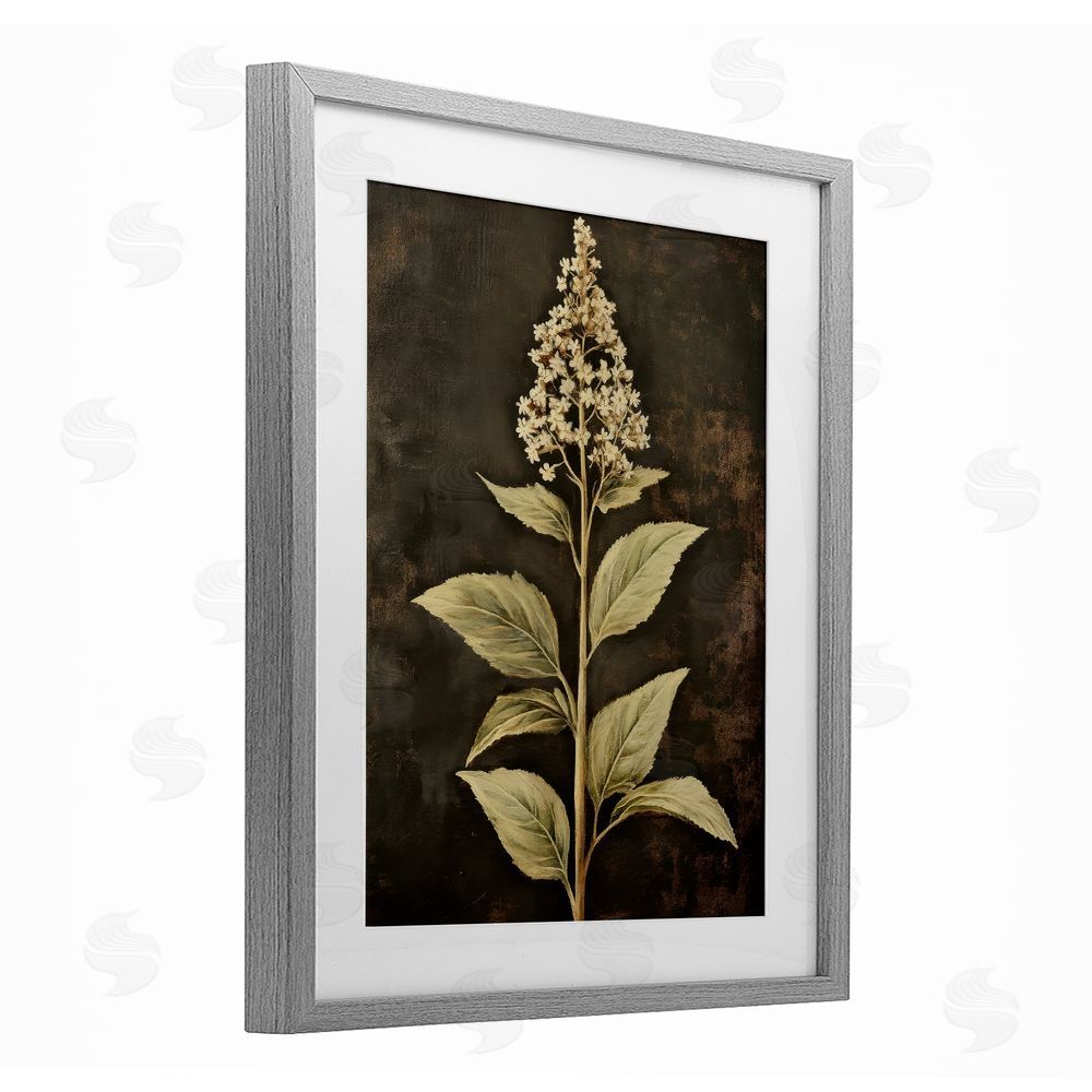 Petal Prints Design Weathered Flower Portrait Gray Framed Print Under Glass with White Mat Wall Art