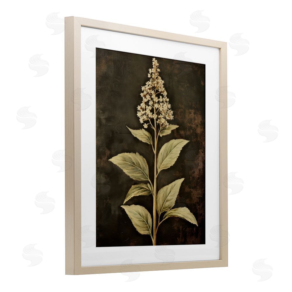 Petal Prints Design Weathered Flower Portrait Birch Framed Print Under Glass with White Mat Wall Art