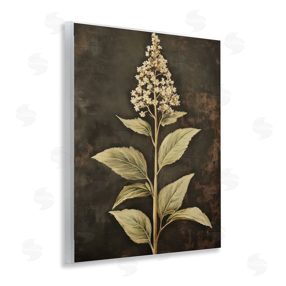 Petal Prints Design Weathered Flower Portrait Wall Plaque Art Print