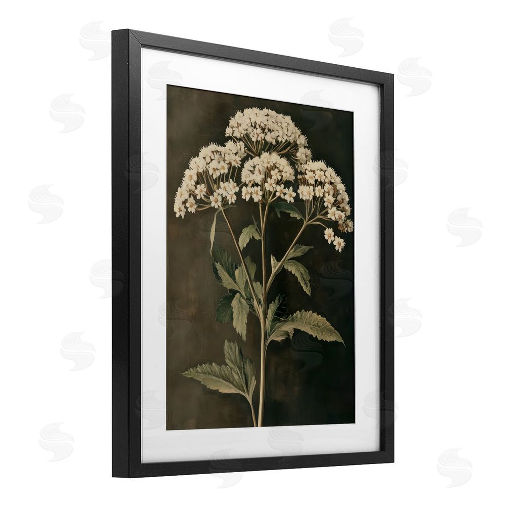 Petal Prints Design Sophisticated Floral Portrait Black Framed Print Under Glass with White Mat Wall Art