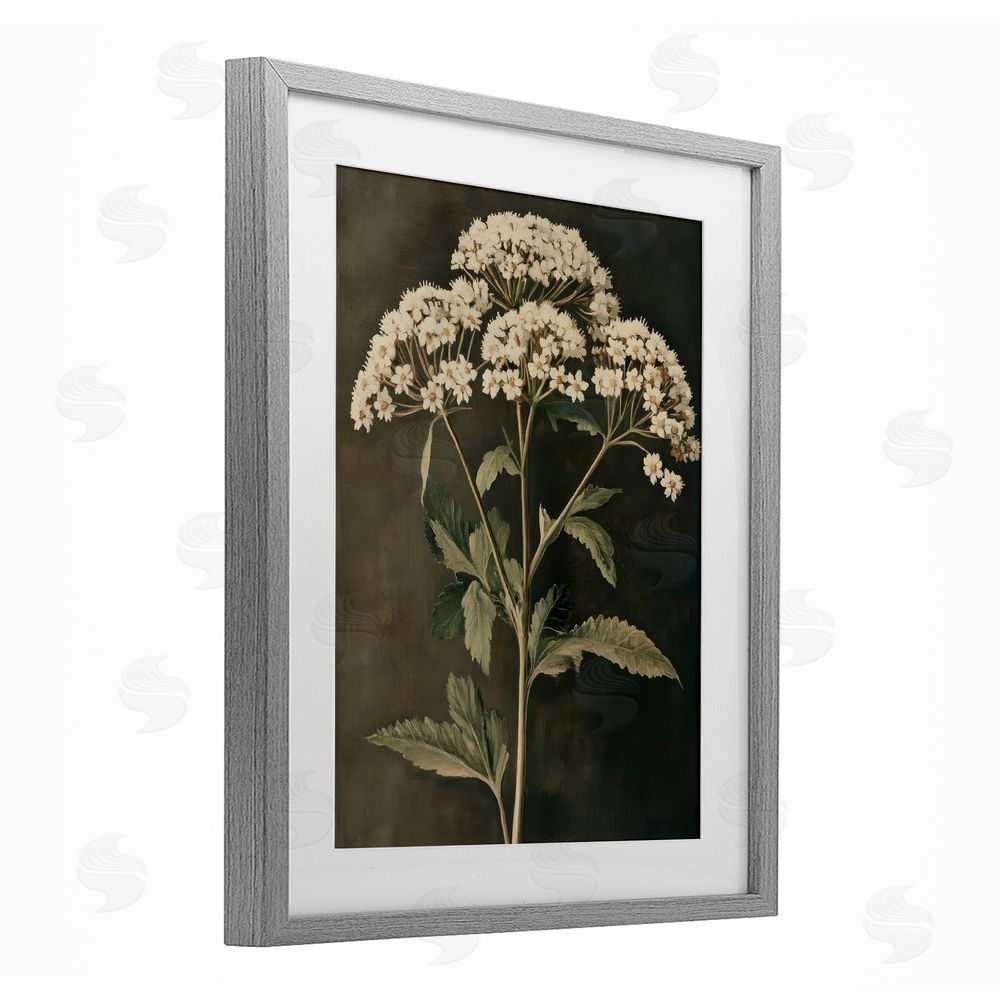 Petal Prints Design Sophisticated Floral Portrait Gray Framed Print Under Glass with White Mat Wall Art