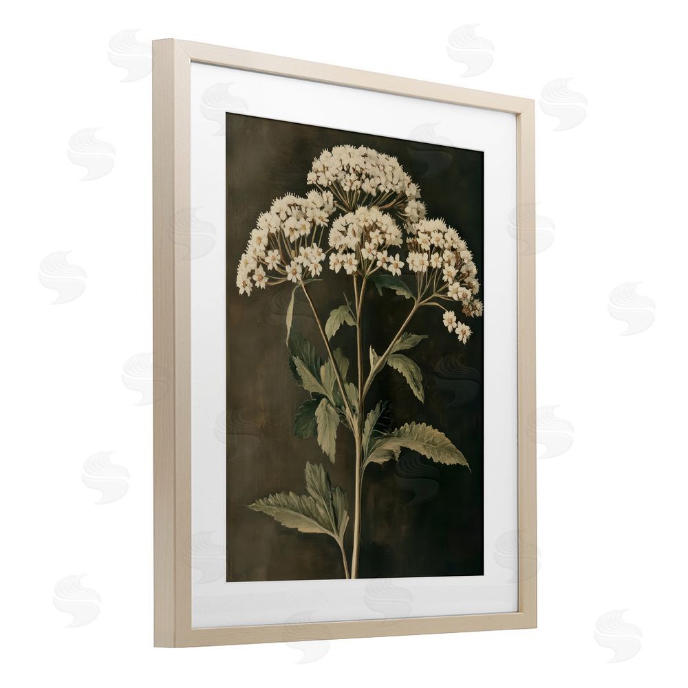Petal Prints Design Sophisticated Floral Portrait Birch Framed Print Under Glass with White Mat Wall Art