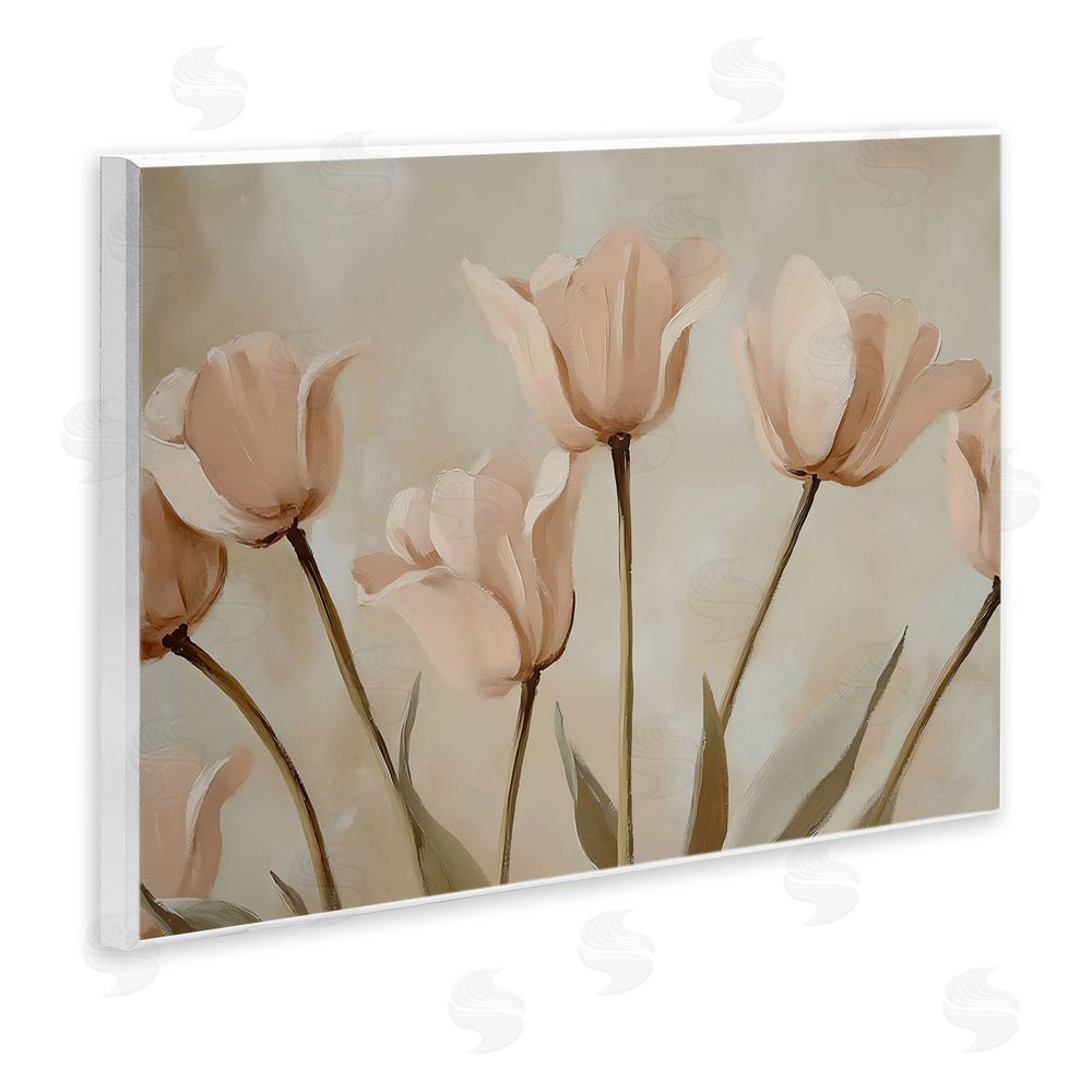 Franklyn Gregory Pale Pink Poppies Bundle Wall Plaque Art Print