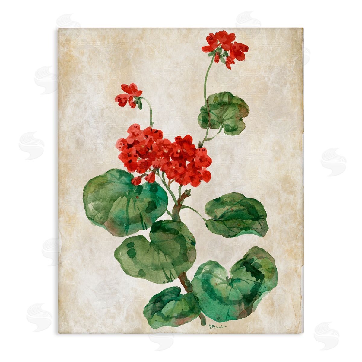 Paul Brent Floral Journal Red Flower Canvas Wall Art Print