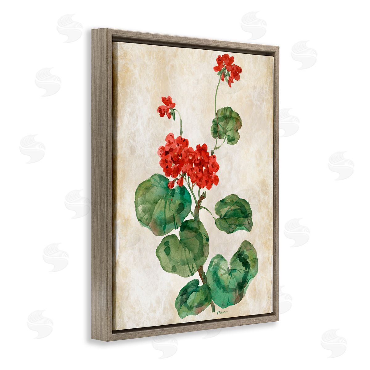 Paul Brent Floral Journal Red Flower Brown Floating Frame Canvas Art Print