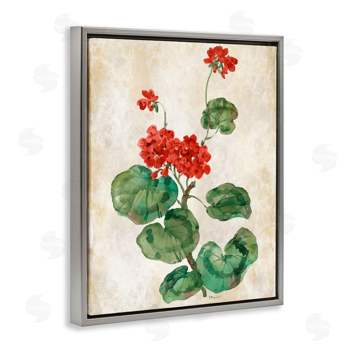 Paul Brent Floral Journal Red Flower Gray Floating Frame Canvas Art Print