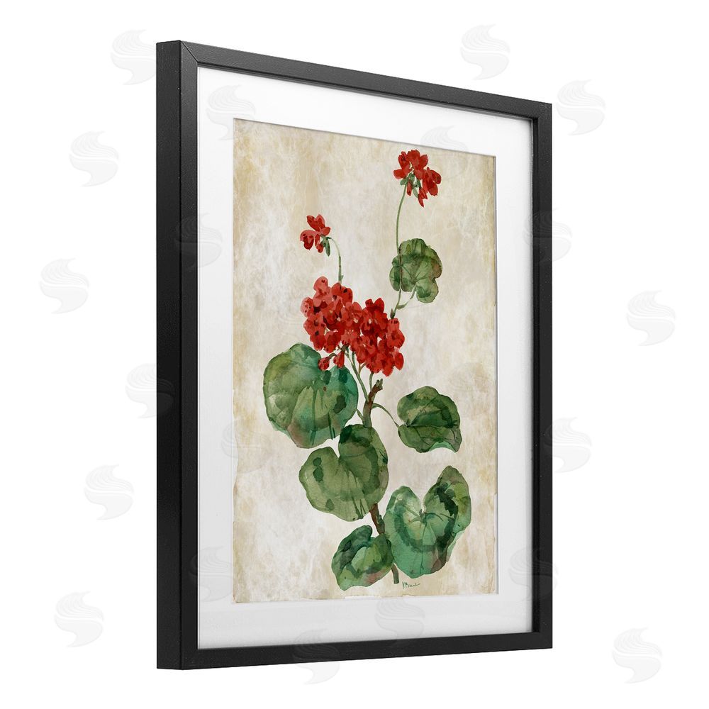 Paul Brent Floral Journal Red Flower Black Framed Print Under Glass Art