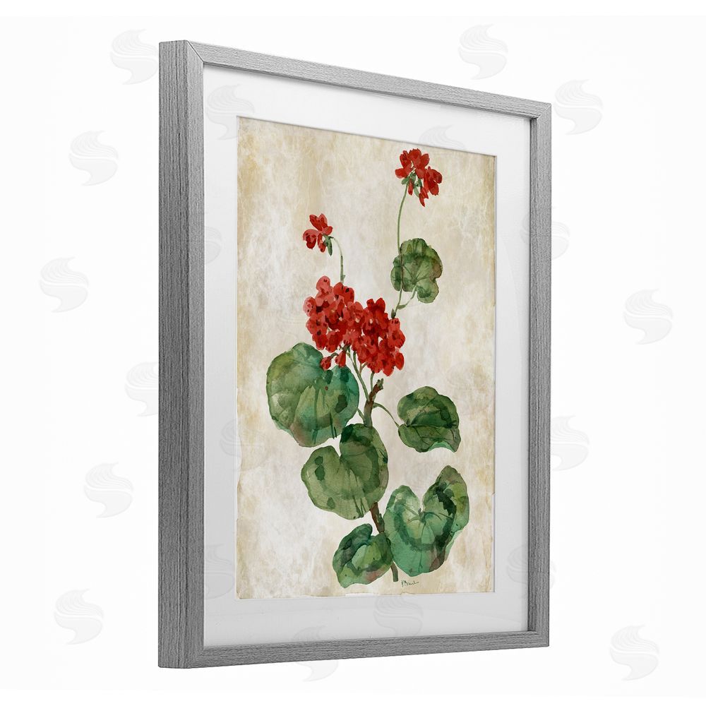 Paul Brent Floral Journal Red Flower Gray Framed Print Under Glass Art