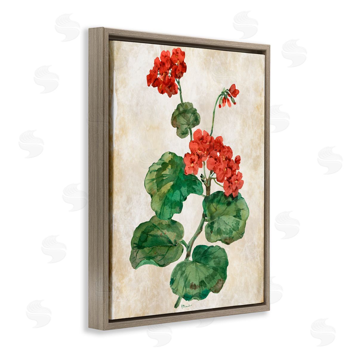 Paul Brent Floral Journal Flower Painting Brown Floating Frame Canvas Art Print