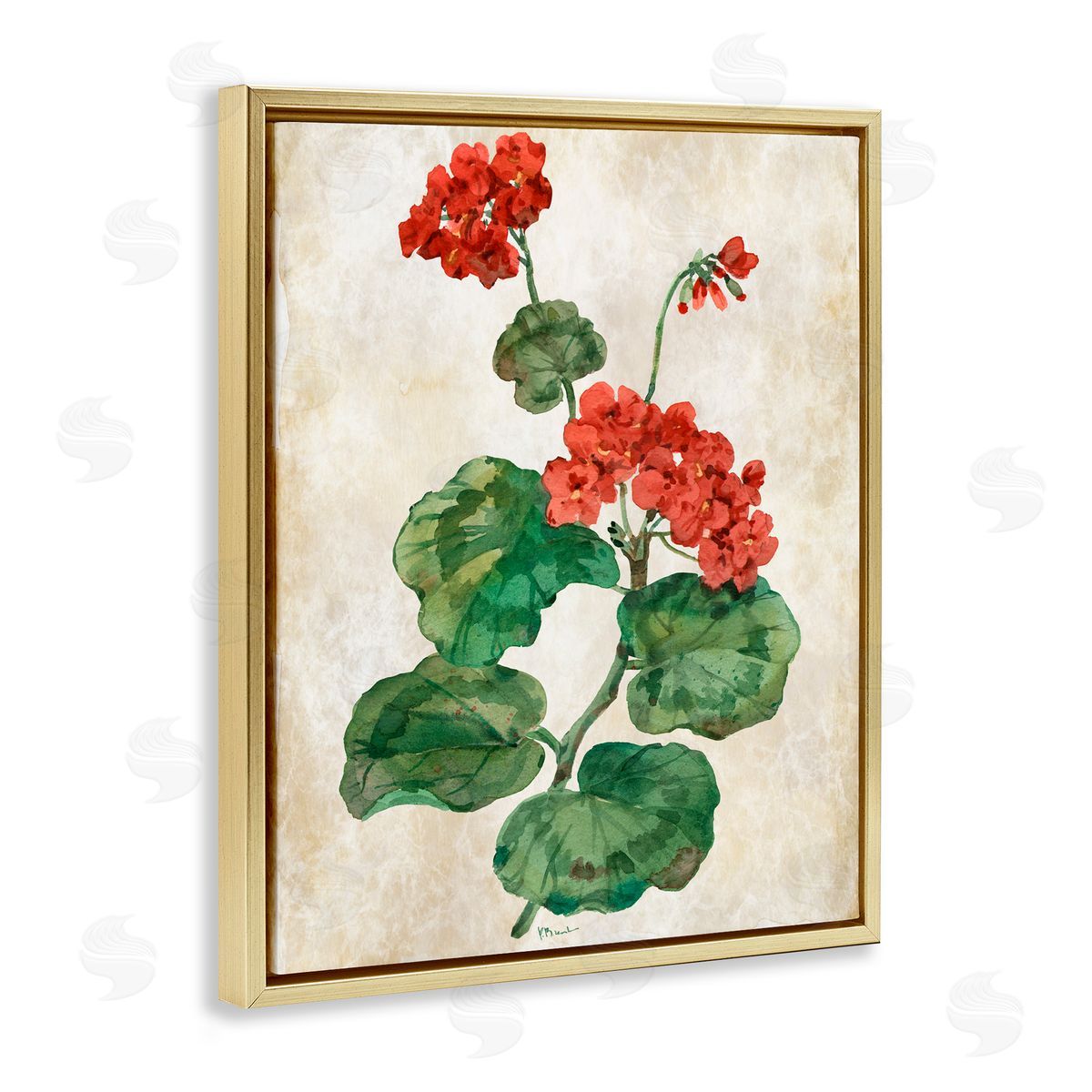 Paul Brent Floral Journal Flower Painting Gold Floating Frame Canvas Art Print