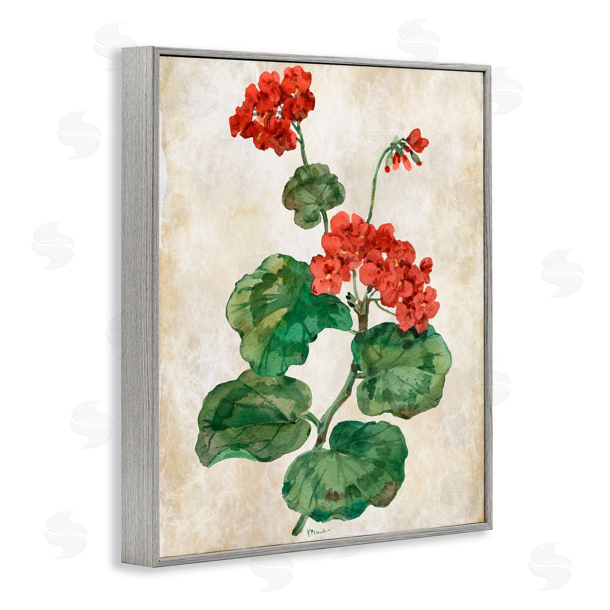 Paul Brent Floral Journal Flower Painting Gray Framed Giclee Art Print