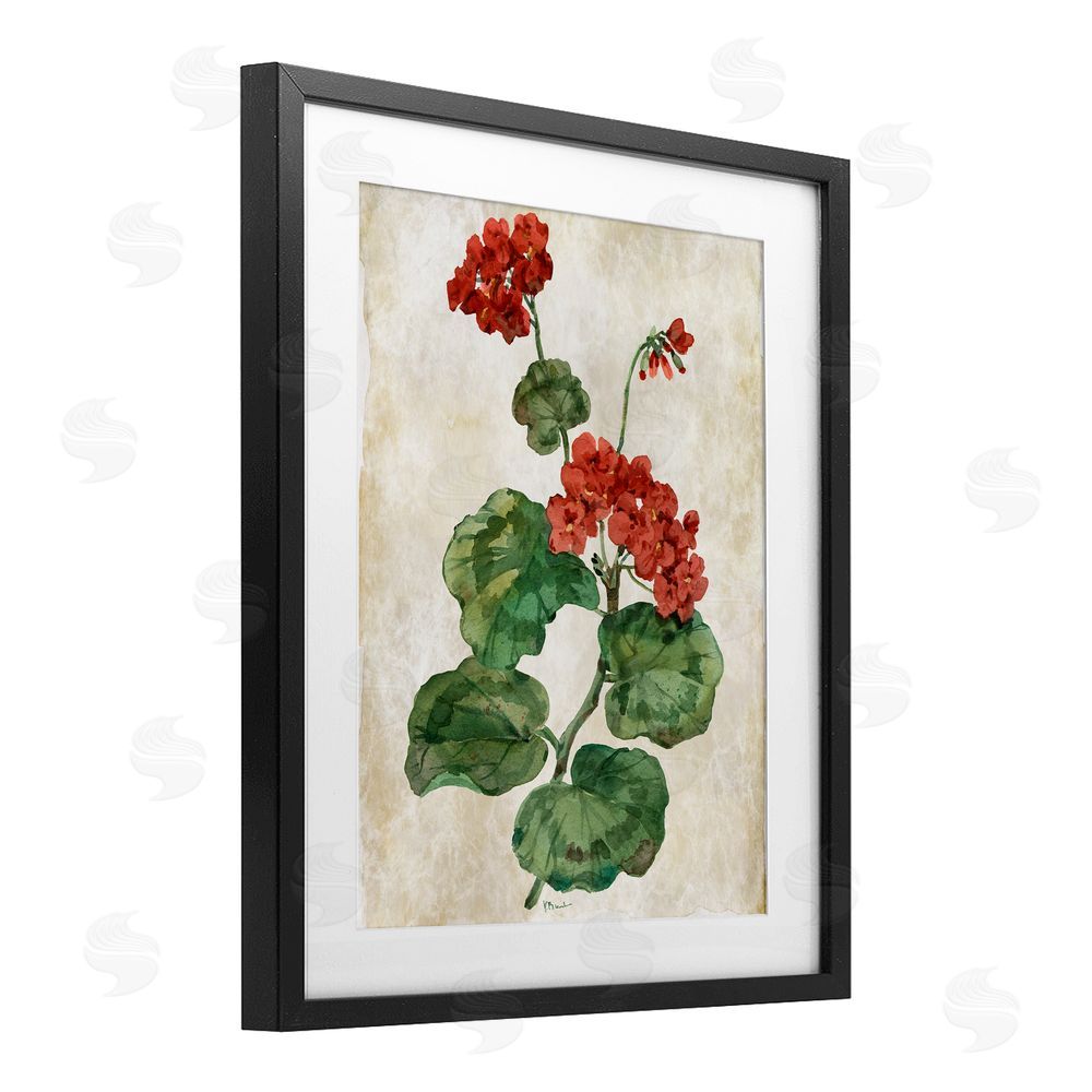 Paul Brent Floral Journal Flower Painting Black Framed Print Under Glass Art