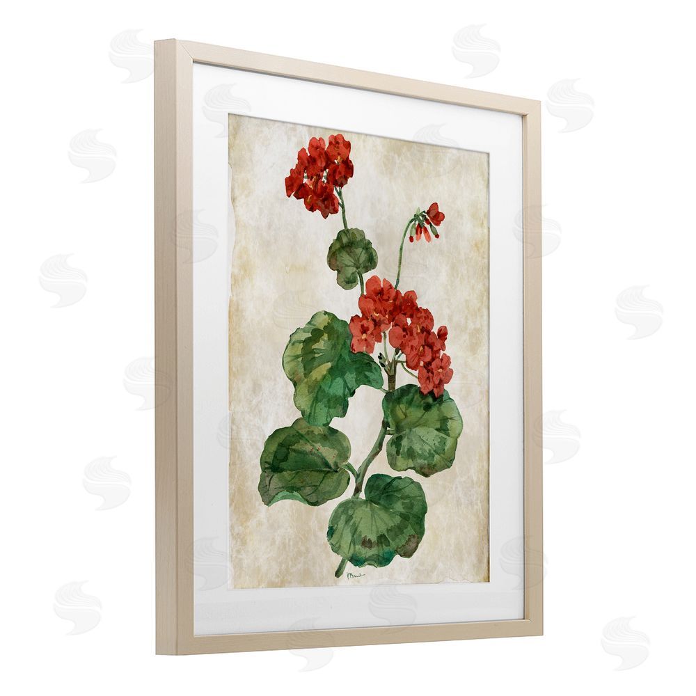 Paul Brent Floral Journal Flower Painting Birch Framed Print Under Glass Art